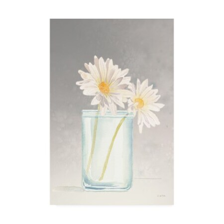 James Wiens 'Tranquil Blossoms Iv' Canvas Art,16x24